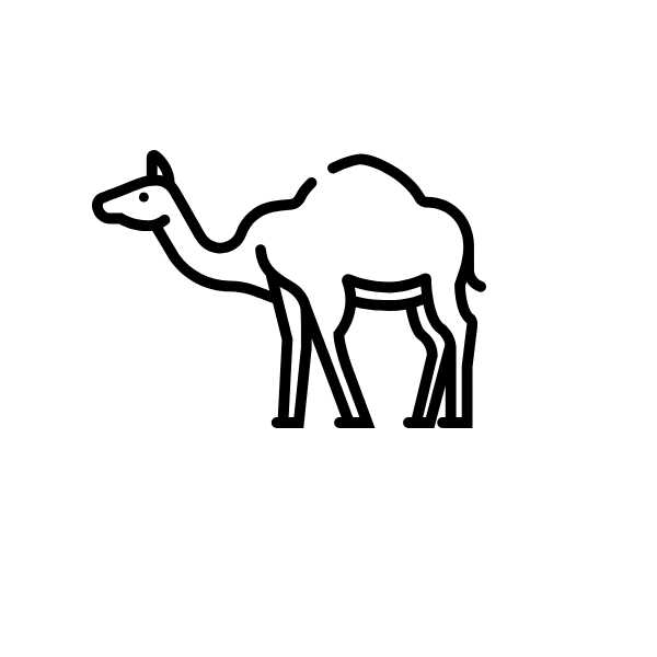 Animal Side Line Vectors Animal camel desert