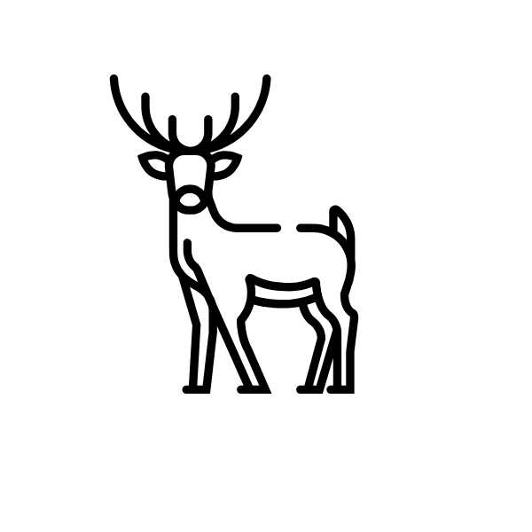 Animal Side Line Vectors Animal antler deer